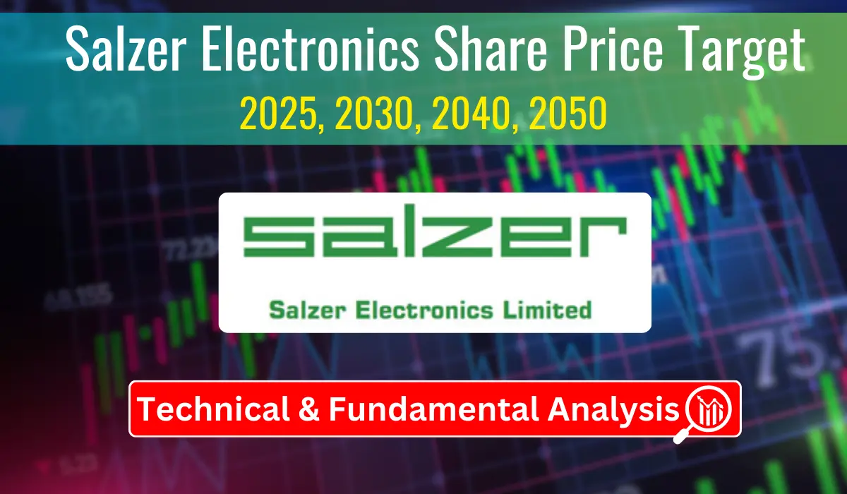 Salzer Electronics Share Price Target